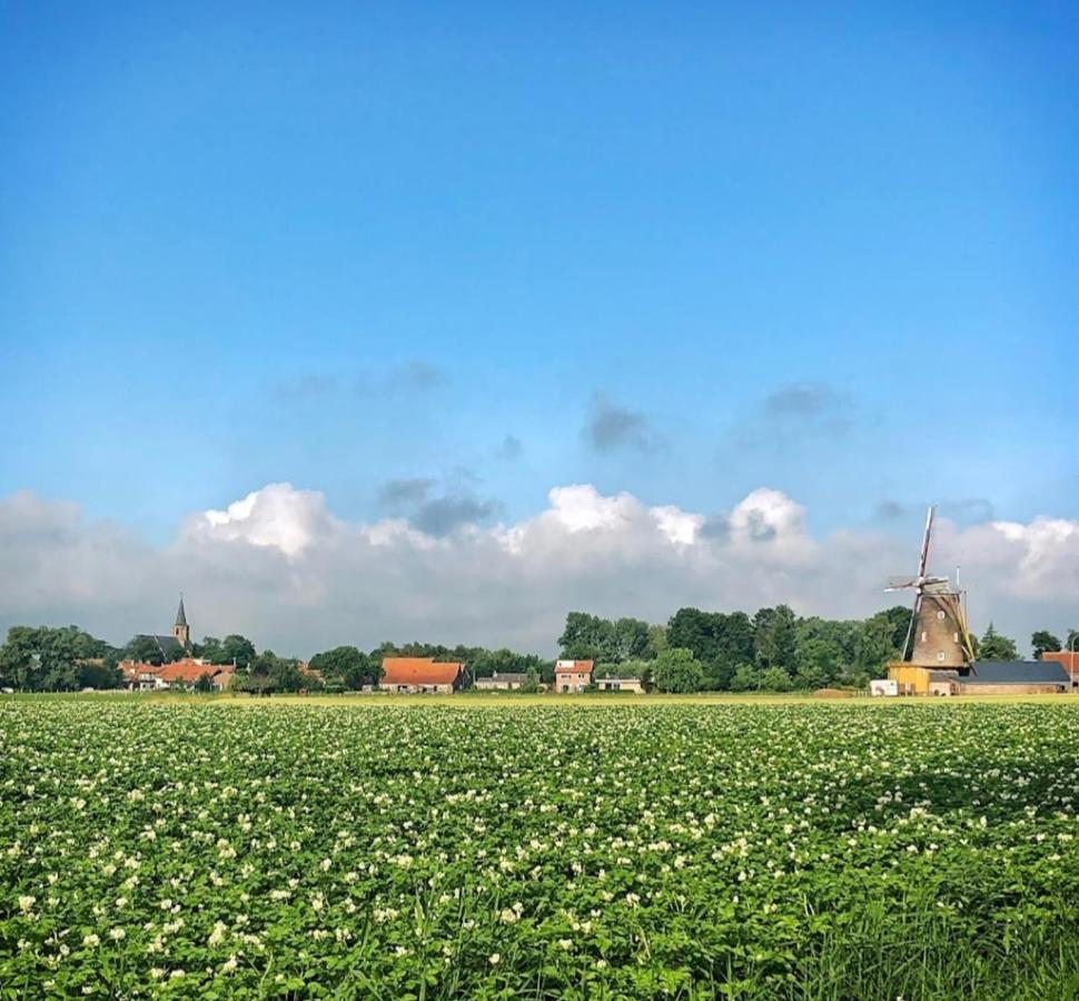 Chalets Op Minicamping Dorpszicht Gapinge Exterior foto